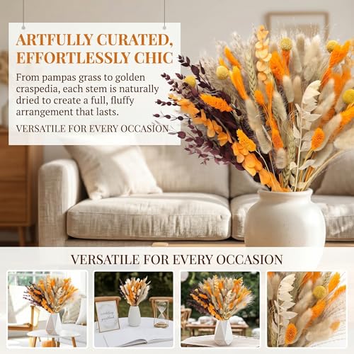 Ramo de Flores Secas de Otoño con Cola de Conejo Naranja 100pcs miniatura 5