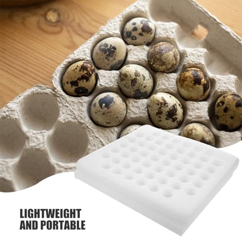 Soporte para huevos de codorniz protector con 52 huecos y bandeja de espuma para cocina 7