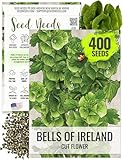 Seed Needs, Bells of Ireland Seeds - 400 Heirloom Seeds for Planting Molucella laevis - Green Bell Shaped Flowers, Perfect as a Cut Flower, Attracts Pollinators (1 Pack)