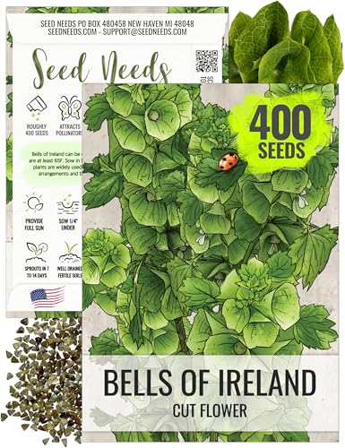 Seed Needs Bells of Ireland Seeds - 400 Heirloom
