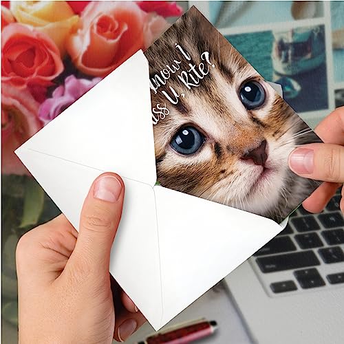 The Best Card Company, Miss U Kitties - Cute Miss You Card With Envelope - Goodbye, Thinking Of You Notecard - Adorable Pet Cat C3365Bmyg #TOP3