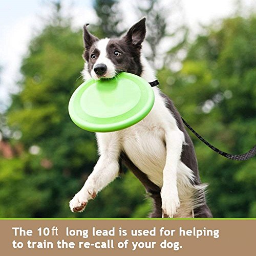 Image of Dog Training Lead Long Rope Cotton Nylon Webbing Recall Obedience Line Leash for Pet 3M /20Ft (10.Feet, Black)