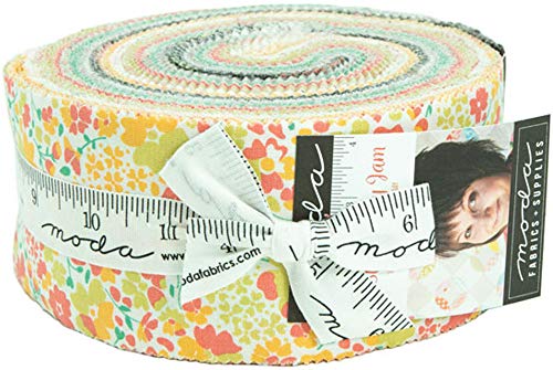 Corey Yoder Strawberry Jam Jelly Roll 40 2.5-inch Strips Moda Fabrics 29060JR