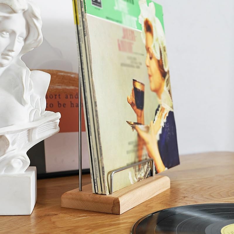 Conservazione dei dischi in vinile Portadischi in vinile, portadischi in vinile in legno massello, supporto in vinile for display di dischi, semplice espositore portatile for album Registrare la cassa