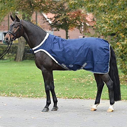 Busse Führanlagendecke WALKING - navy