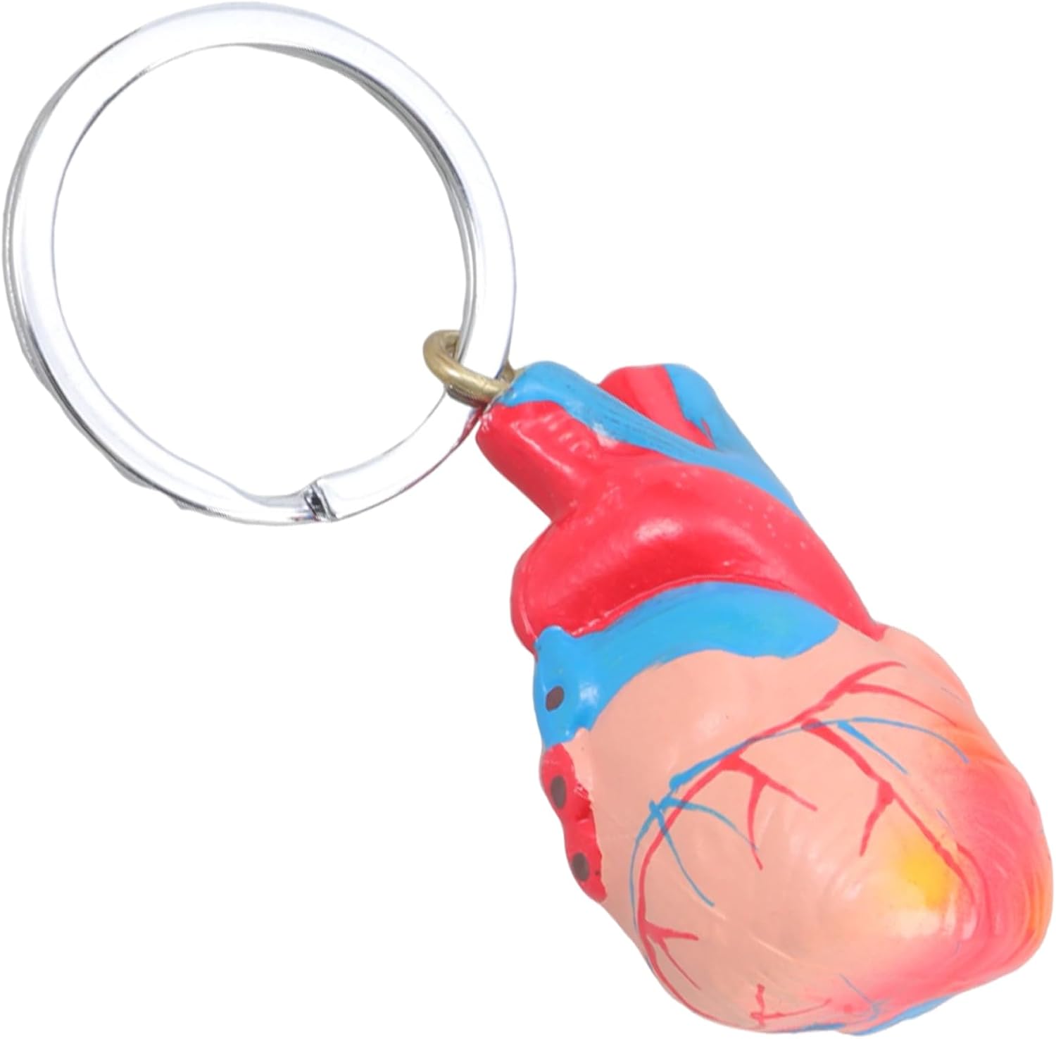 Anatomy Keychain Printed Heart Structure Travel Friendly 20g