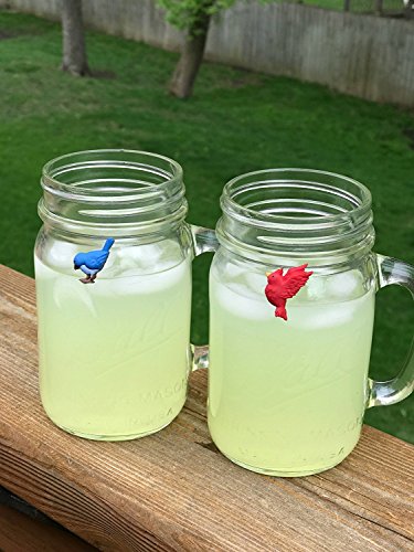 Simply Charmed Bird Wine Glass Charms - Magnetic Drink Markers To Identify All Your Glassware - Set Of 6 Cocktail Charms #TOP3