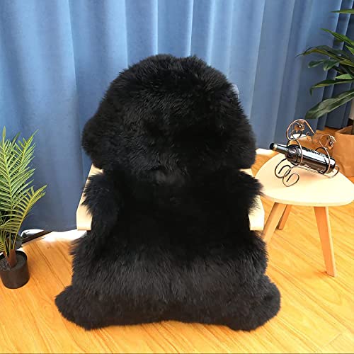 WL&ALLEN Large 3 Inch Pile Rug