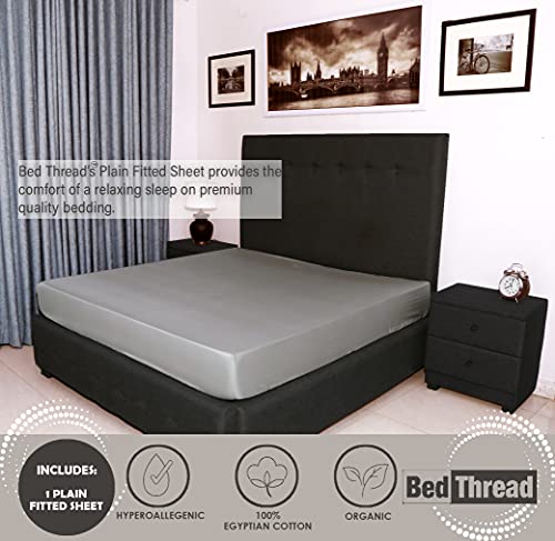 Bed Thread, Egyptian Cotton Super King Fitted Sheet - Image 2