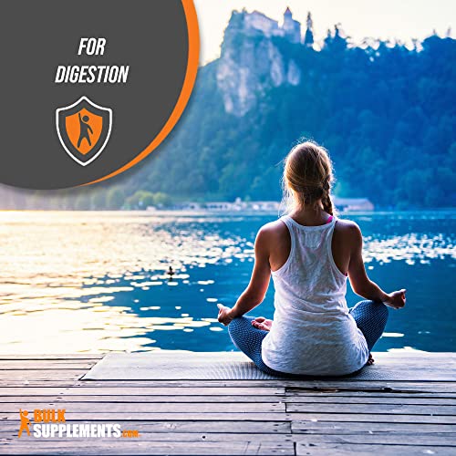 Bulksupplements.com Magnesium Citrate Powder - Magnesium Supplement - Magnesium Citrate Laxative - Magnesium For Constipation - 2000Mg (330Mg Of Magnesium) Per Serving (250 Grams - 8.8 Oz) #TOP4