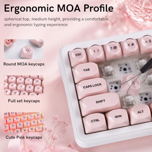 Image of dagaladoo PBT Keyboard keycaps,Pink moa keycaps Jelly