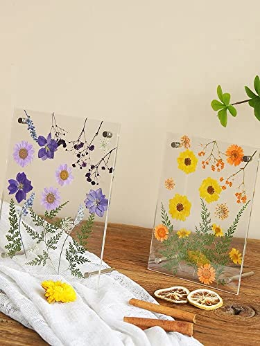 16 piezas flores secas prensadas naturales para manualidades miniatura 5