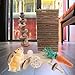 YARNOW 1set Molar Chew Toys for Animals Grinding Playthings for Hamsters Gerbils Mice and Guinea Pigs Safe and Fun Pet Cage Accessories