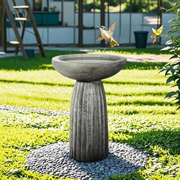 modern bird bath design
