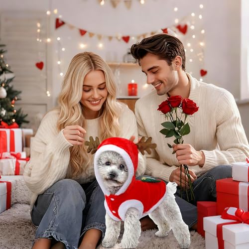 Haustier Weihnachtskostüm, Hundekostüme Weihnachten Elchkostüm, Katze Hund Weihnachtskostüm, Rentier Hundekostüm Pet Hoodies warme Hundemantel für Winter Frühling Weihnachten (L)