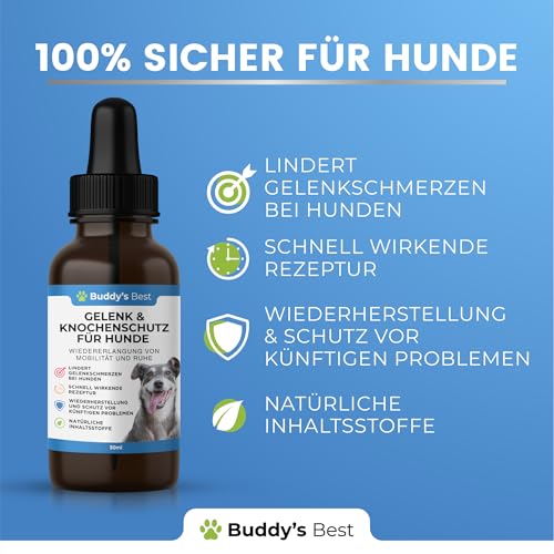 BUDDY'S Best 50ml Gelenk- & Knochenschutz für Hunde - Schmerzmittel für Hunde - Gelenke Hund - Schmerzmittel Hund Gelenke - Joint Care Hund