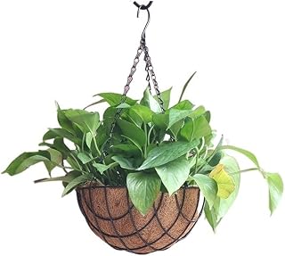 Anomidry Hanging Planter Iron Wall Hanging Hemisphere Coconut Palm Hanging Planter, Balcony Wall Decoration Garden Patio (Color : A, Size : 8(20.5 * 9.5cm))