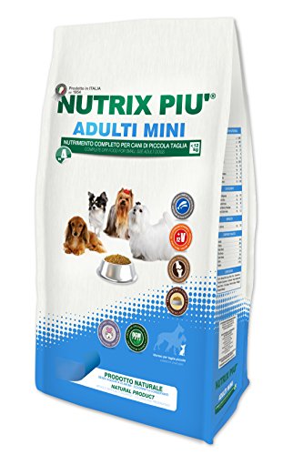 Adulti Mini (4 Kg)