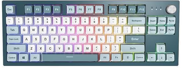 Montech MKey TKL Mechanical Gaming Keyboard: Customizable RGB LED, Premium MDA Profile PBT Keycap, Hot-Swappable Gateron G Red Pro 2.0 Pre-lubed Switches, Osaka Castle Theme, Freedom (MK87FR)