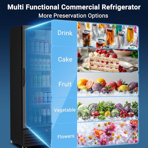 Image of BODEGA BODEGACOOLER 9 Cu.Ft Commercial Beverage Refrigerator with Glass Door,Display Drink Refrigerators fridge for Beer Display Drink Cooler Rapid Cooling & Quiet for Bar Restaurant Office Store Use
