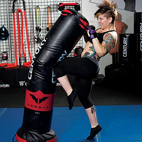 Century Versys Fight Simulator - Image 2