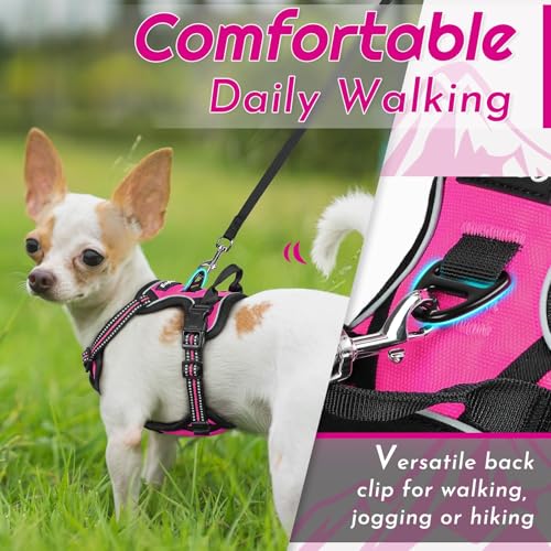 Image of Eagloo Dog Harness for Small Dogs, No Pull Pet Vest with 2 Leash Clips