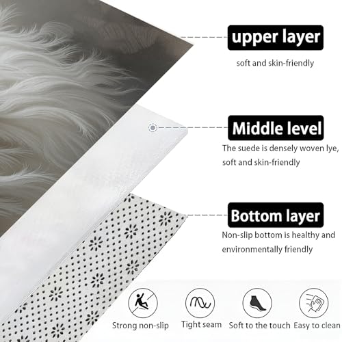 Tapis entree interieur absorbant et paillasson lavable chat - 7