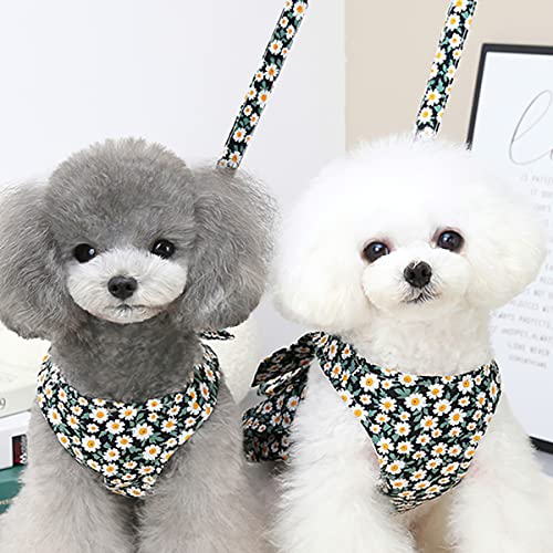 Dog Clothes For Small Dogs With Leash Set, Flowers Dog Dress With D Ring Puppy Clothes Yorkie Clothes Xs Dog Clothes For Small Dog Girl Puppy Outfits (Small, Green) #TOP7