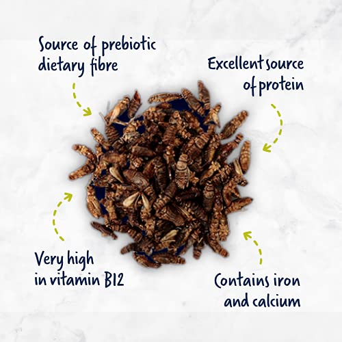Organic Cricket Whole Roasted 113 grams - North American Farmed - Paleo, Keto, Protein, Baking - Image 4