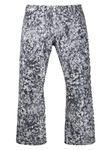 Burton Men's Gore-Tex Ballast Snow Pant