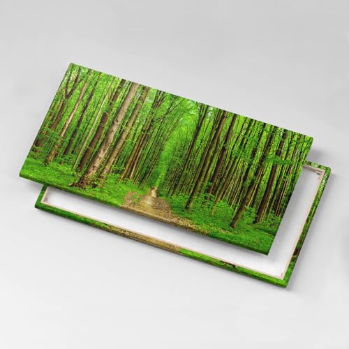 Image sur Toile 120x60cm Route Forestière Wallfluent Décoration Murale