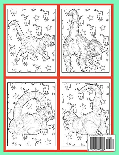 Cat-Butts-Coloring-Book-For-Adults-Butthole-Funny-Gag-Gifts-Unique-White-Elephant-Werid-Stuff-Animals-Relaxation-Lover-Pranks-Paperback--November-20-2019
