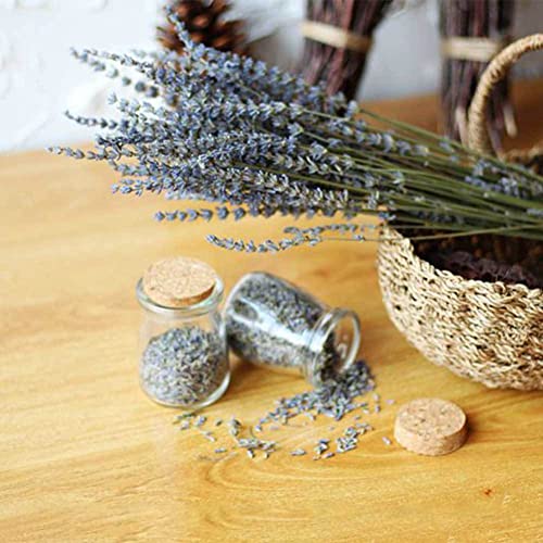 lavanda seca, Flores secas elegantes para vaso bonito, Grupo flores símbolo do amor faça você mesmo