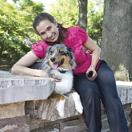 Petsafe Vibration Remote Dog Training Collar - Water Resistant - 100 Yards Range - 16 Levels Of Vibration Plus Tone #TOP2