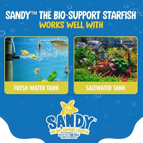 Tank Pals: Sandy The Bio-Support Starfish - 1 Pack, Yellow- Promotes A Healthy Balanced Aquarium Ecosystem, Probiotic Growth, Tank Environment Control by Tank Pals - Image 5