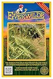Everwilde Farms - 500 Virginia Wild Rye ...