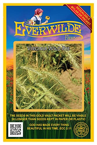 Everwilde Farms - 500 Virginia Wild Rye Native Grass Seeds - Gold Vault Jumbo Seed Packet #TOP15