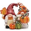 Hodao fall pumpkin gnomes decorations handmade swedish tomte gnomes elf for fall decor gift thanksgiving autumn gift  urban country home decor