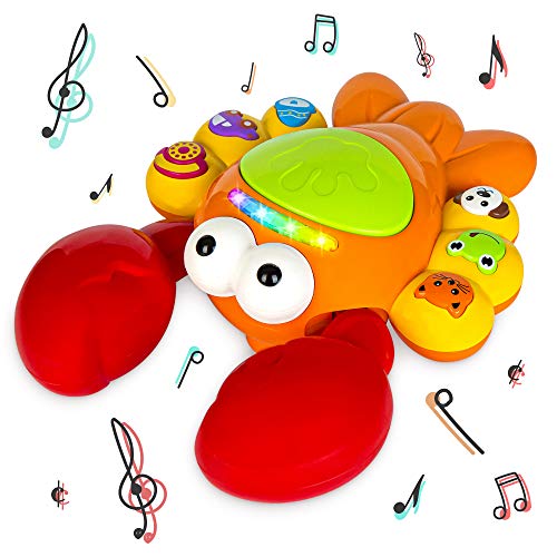 Think Gizmos Musical Toy for Babies & Toddlers Aged 1 2 3 4 5+ TG721 - Education Toddler Toy Gift for Boys & Girls - Musical Lobster