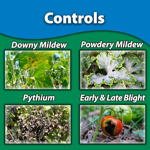 Image of Monterey Liqui-Cop - Copper Fungicide Garden Spray for Citrus and Fruit & Nut Trees - 8 oz (8 oz)