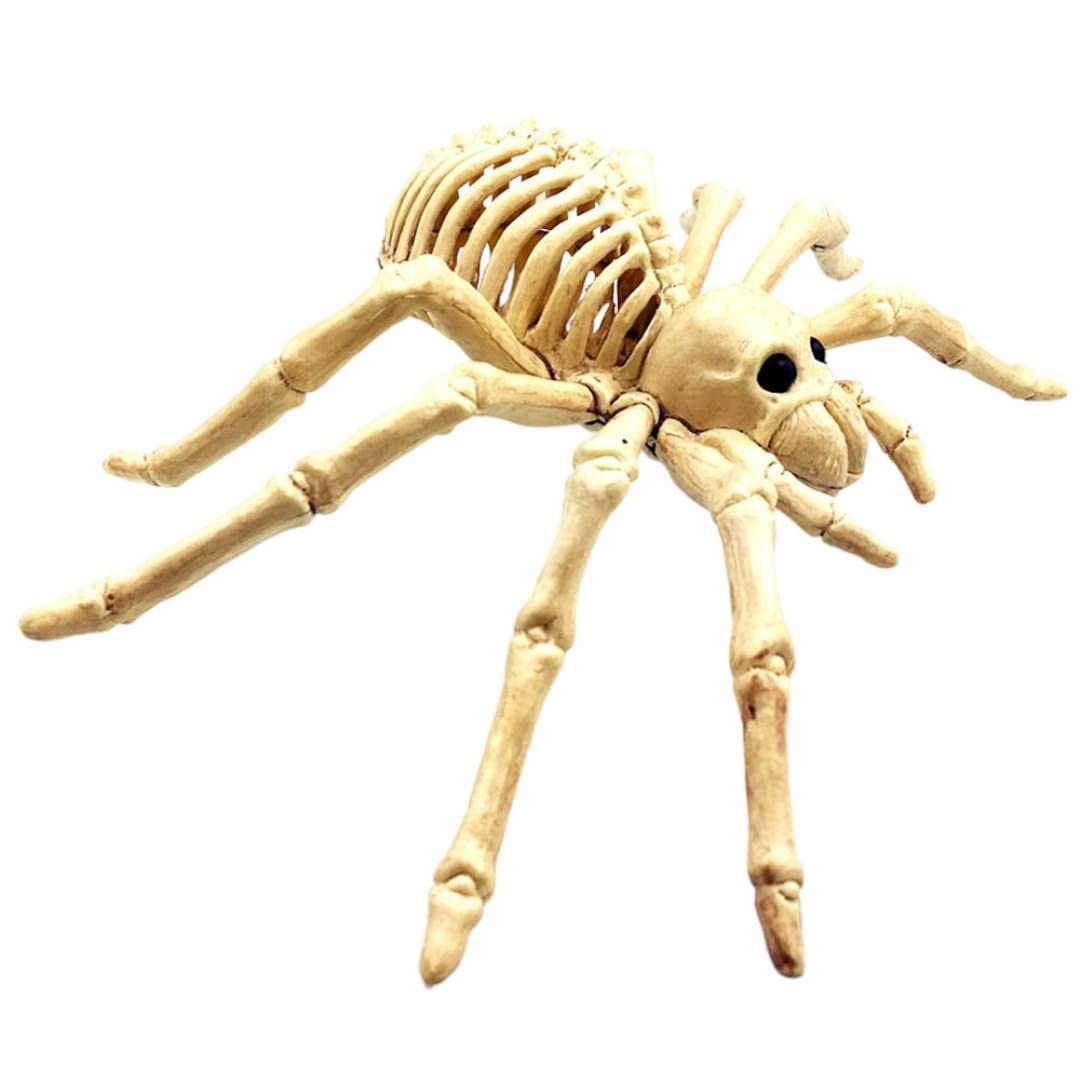 Ameble Halloween Spider Skeleton Decoration Simulation Plastic Ornaments Props for Party Halloween