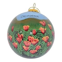 California -Orange Poppies