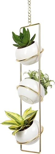 Miniatura 1 de JACKCUBE MK631A - Maceta colgante para plantas de interior, planta de techo vertical bohemio, colgador de metal dorado con 3 mini macetas de