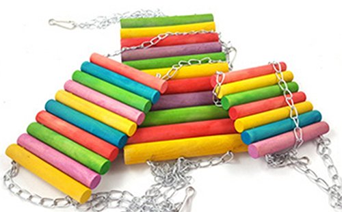 Toruiwa - Altalena per pappagallo, pappagallo