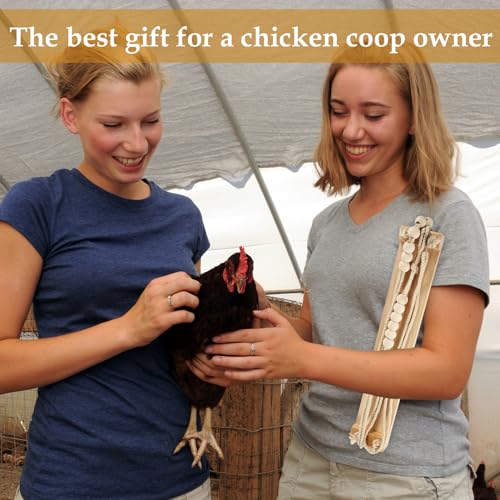 Image of NQEUEPN Chicken Swing Toy, Wooden Hen Swing Hanging Chicken Perch Ladder Swing Wood Stand Decorative Chicken Coop Accessories Toys Supplies for Rooster Chicken Owners & Lovers, Medium