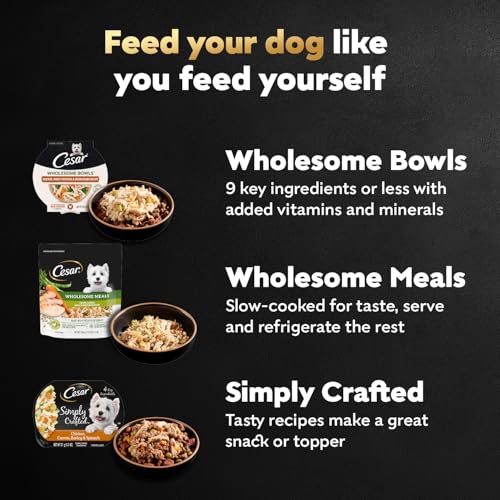 Cesar Wholesome Bowls Wet Dog Food, Chicken Recipe, 3 oz, 10 Count - image 9