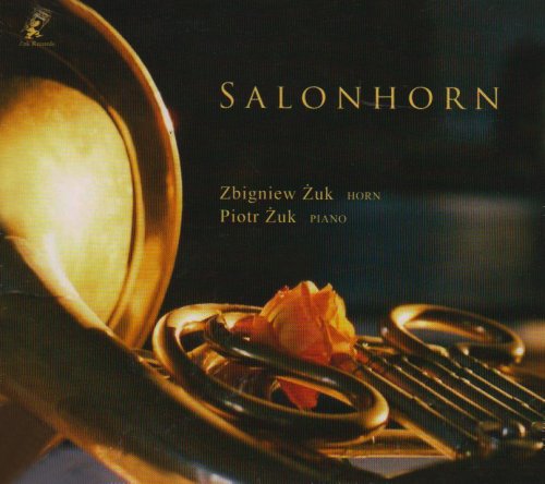 Salonhorn
