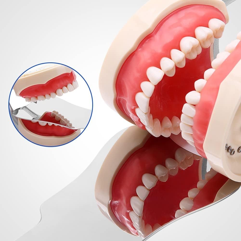 Specchio Ortodonzia Inox 4 Specchi Fotografici Intraorali In Acciaio Inox Per Ortodonzia E Uso Dentale 572785 - Foto 6