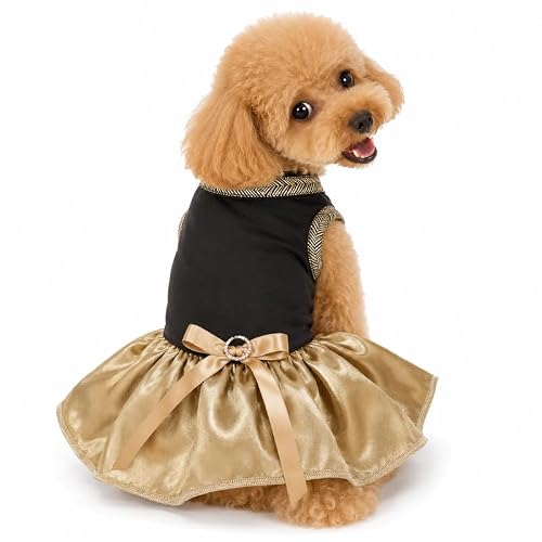 HUNTER Gold Pique Dog Polo Dress