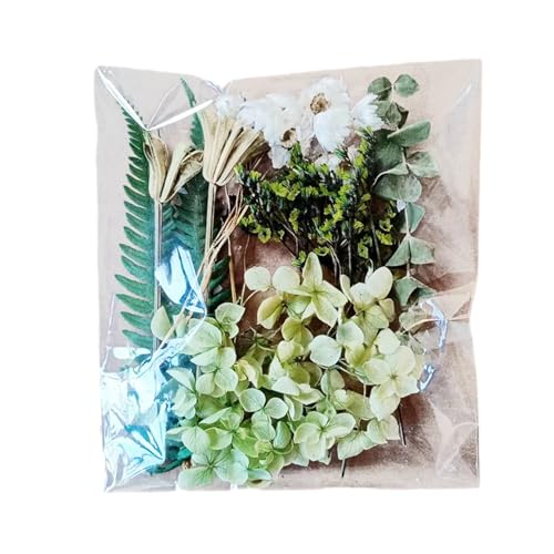 Flores Secas Naturales - Surtido De Pétalos Vibantes, Materiales De Arte Prensado | Paquete Estético Botánico, Tema De Artesanía, Piezas Decorativas Mixtas, Kit Inspirado En La Naturaleza Para